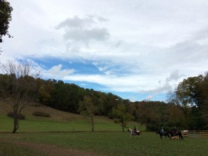 Horseback Riding